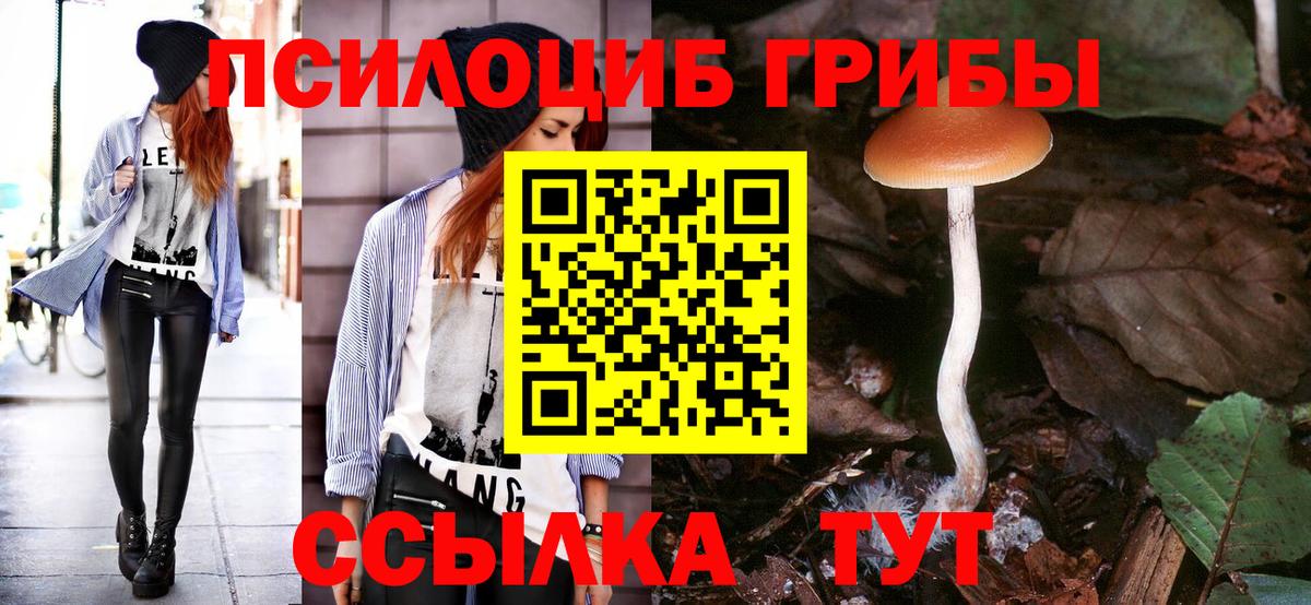 Галлюциногенные грибы Cubensis  Вход с VPN  Нурлат  Галлюциногенные грибы ЛСД 