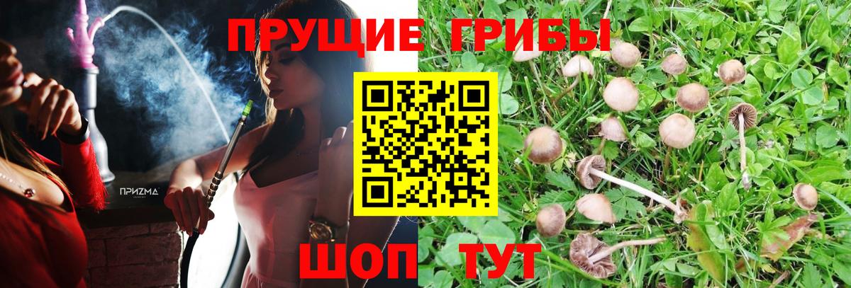 APVP Нурлат
